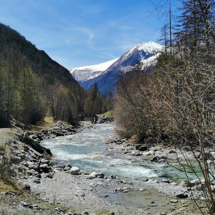 Appartement Pied Des Pistes Super Sauze Enchastrayes Eksteriør bilde