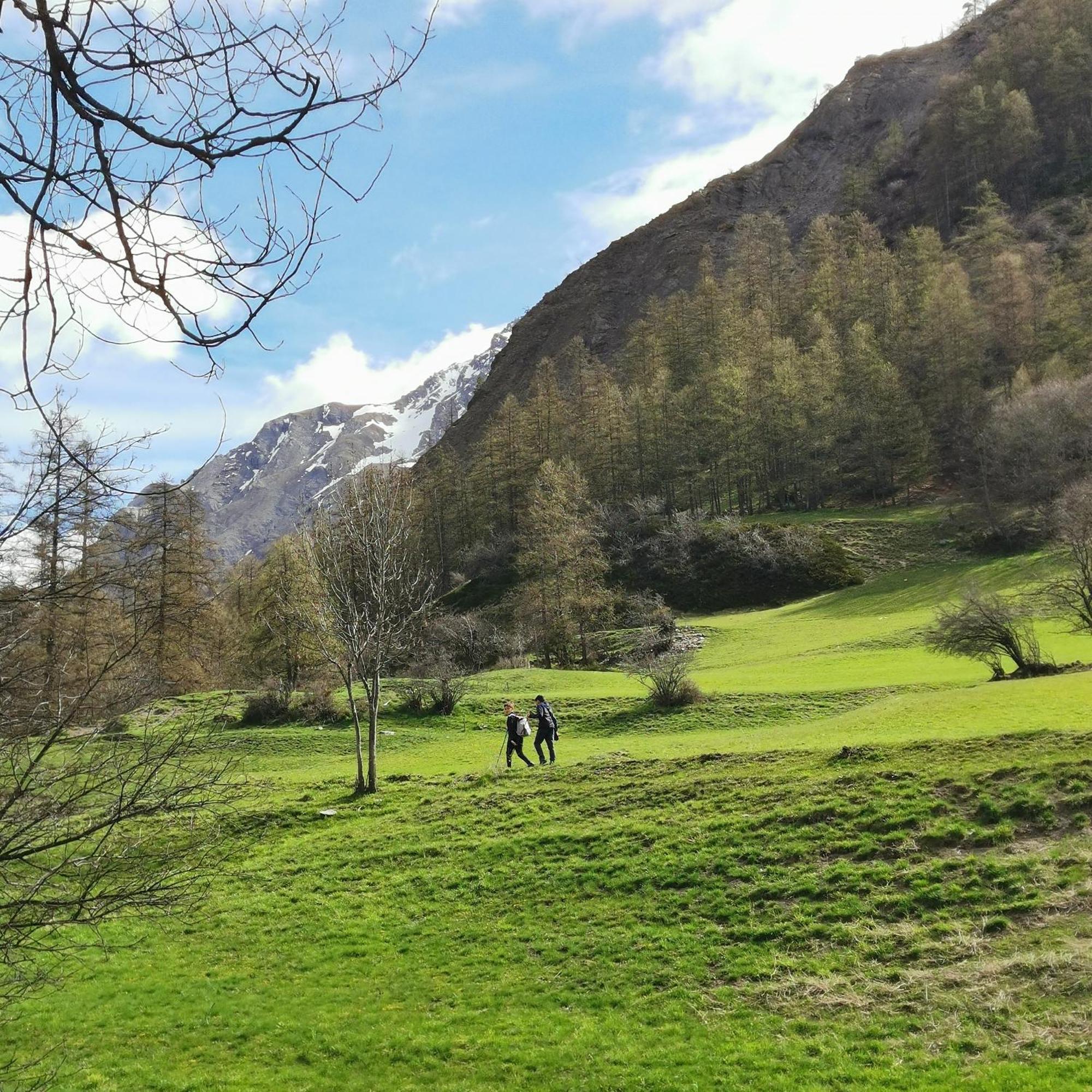 Appartement Pied Des Pistes Super Sauze Enchastrayes Eksteriør bilde